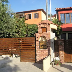Pensión Arabas, Tesalónica